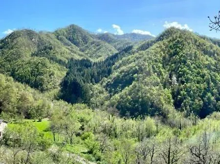 Ca Bucolica-eremo Di Trebbana Raggiungibile Solo A Piedi-guarda Il Sito-chiamaci Bed & Breakfast